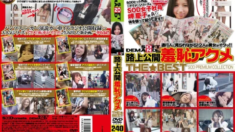 SDMT-136 หนังAVแปลไทย รวมเย็ดสาวข้างทางด้วยเซ็กทอยสั่นหี 4 ชั่วโมงเต็ม